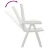 vidaXL Garden Reclining Chairs 2 pcs White PP
