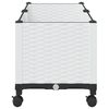 Product Thumbnail Image 4 of 8