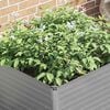 Product Thumbnail Image 4 of 13