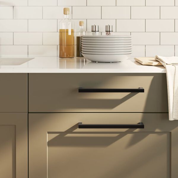 vidaXL Cabinet Handles 10 pcs Black 224 mm Stainless Steel