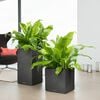 LECHUZA Planter CANTO Stone 40 High ALL-IN-ONE Graphite Black