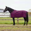 vidaXL Horse Blanket Full Purple 75 cm Polyester