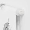 Product Thumbnail Image 9 of 15