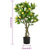 Product Thumbnail Image 5 of 5
