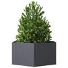 Product Thumbnail Image 3 of 8