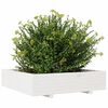 Product Thumbnail Image 4 of 10