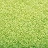 vidaXL Doormat Washable Green 90x150 cm
