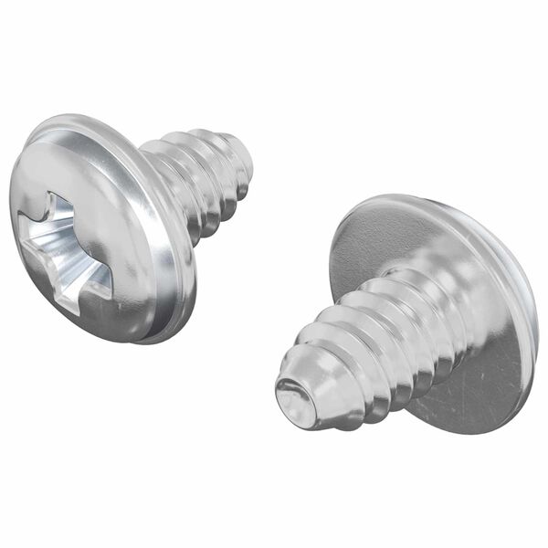 vidaXL Lock Screws 2 pcs Silver M4 x 5 mm Iron