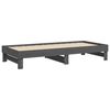 vidaXL Pull-out Day Bed without Mattress Grey 2x(90x200) cm