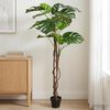Product Thumbnail Image 2 of 6