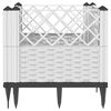 Product Thumbnail Image 4 of 8
