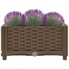 Product Thumbnail Image 6 of 8