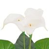 Product Thumbnail Image 2 of 2