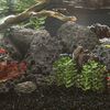 Product Thumbnail Image 2 of 5