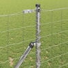 Product Thumbnail Image 4 of 17