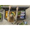 Keter Outdoor Storage Box Darwin 570 L Grey