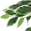 vidaXL Artificial Ficus Tree 1008 Leaves 180 cm Green