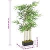 Product Thumbnail Image 5 of 5