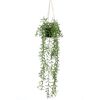 Emerald Artificial Senecio Hanging Bush in Pot 70 cm