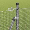 Product Thumbnail Image 5 of 17