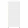 vidaXL Shoe Cabinet with Shelf White 103 x 30 x 67 cm Engineered Wood