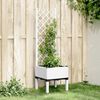 Product Thumbnail Image 2 of 8