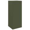 vidaXL Parcel Drop Box with Storage Olive green 41 x 38 x 103 cm Steel