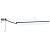 vidaXL Manual Retractable Awning with LEDs 3 x 2.5 m