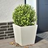 Product Thumbnail Image 2 of 10