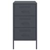 vidaXL Bedside Cabinets 2 pcs Anthracite 36x39x68 cm Steel
