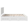 Product Thumbnail Image 9 of 14