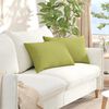 vidaXL Sofa Pillows 2 pcs Light Green 60 x 40 cm Fabric