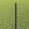Product Thumbnail Image 4 of 14