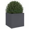 vidaXL Planter Anthracite 49x47x46 cm Steel