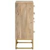 vidaXL Sideboard 55x30x76 cm Solid Wood Mango and Iron