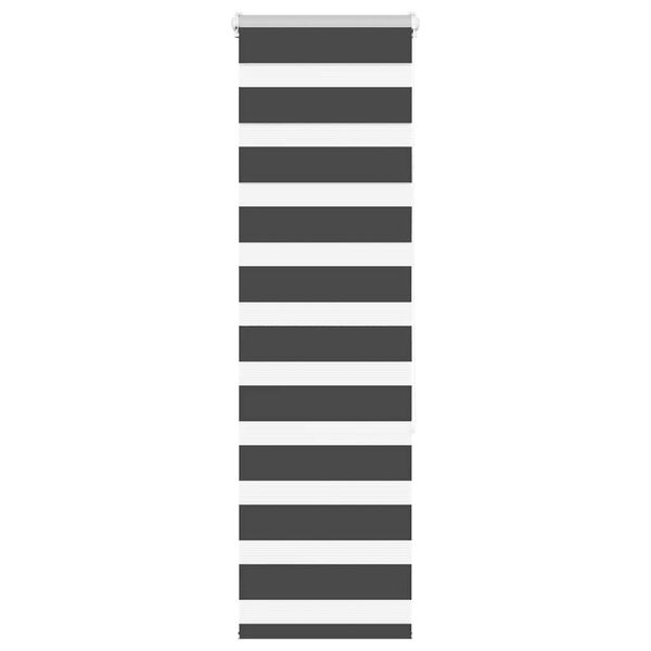 vidaXL Zebra Blind Black 40x150 cm Fabric Width 35.9 cm Polyester