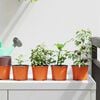 Product Thumbnail Image 2 of 11
