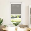 vidaXL Pleated Blind Anthracite 60x150 cm Fabric Width 59.4 cm Polyester
