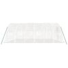 vidaXL Greenhouse with Steel Frame White 30 m&sup2; 6x5x2.3 m