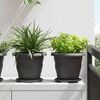 vidaXL Plant Pots 6 pcs Black &Oslash; 22 x 18 cm Plastic