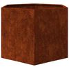vidaXL Planter Rusty 60x60x45 cm Corten Steel
