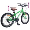 vidaXL Mountain Bike 20'' 6-Speed for 5-8 Years Old Green