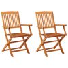 vidaXL Folding Garden Chairs 2 pcs Solid Eucalyptus Wood