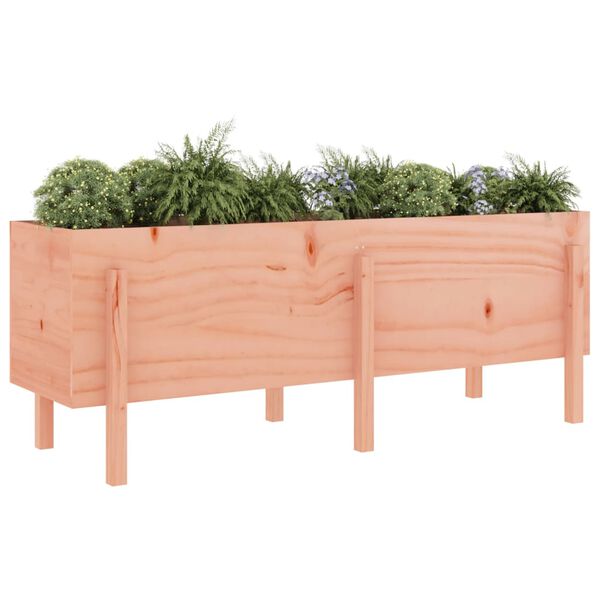 vidaXL Garden Raised Bed 160x50x57 cm Solid Wood Douglas