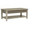 vidaXL Coffee Table 100x50x40 cm Wood