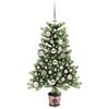 Product Thumbnail Image 2 of 13