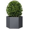 Product Thumbnail Image 8 of 10