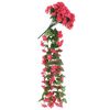 Product Thumbnail Image 4 of 7