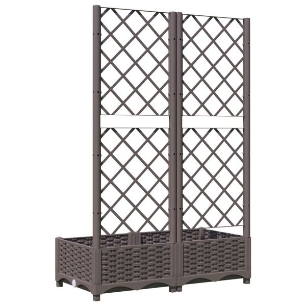 Showing Product Image 4 of 7