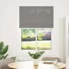 vidaXL Pleated Blind Anthracite 85x150 cm Fabric Width 84.4 cm Polyester